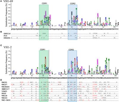 Beyond Hot Spots: Biases in Antibody Somatic Hypermutation and Implications for Vaccine Design